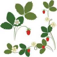 strawberry - garden decoration stock illustrations