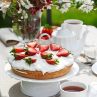 strawberry cake and tea in the garden. garden party. afternoon tea - garden decoration stock pictures, royalty-free photos & images