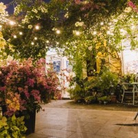 string light illuminated at night in the garden with lots of flowers - garden decoration stock pictures, royalty-free photos & images