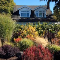 stunning autumn garden - garden decoration stock pictures, royalty-free photos & images
