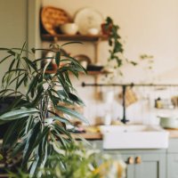 stylish and botany interior of dining room with design craft wooden table, chairs, a lof of plants, big window, poster map and elegant accessories in modern home decor. template. - garden decoration stock pictures, royalty-fr