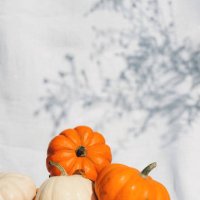 stylish minimalistic composition with small pumpkins on a white fabric. autumn atmosphere. thanksgiving. hello, autumn. halloween. festive background. eco. eco-friendly. - garden decoration stock pictures, royalty-free photos