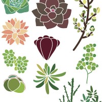 succulent spring garden - garden decoration stock illustrations