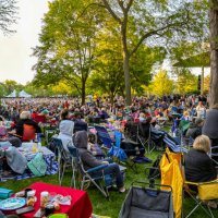 summer concert - concert stock pictures, royalty-free photos & images