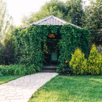 summer gazebo overgrown with green ivy and a stone path. - garden decoration stock pictures, royalty-free photos & images