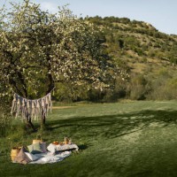 summer healthy vegetarian picnic in park. fruits, cacao, honey pancakes and organic granola on linen tablecloth decorated with pillows and wicker basket. - garden decoration stock pictures, royalty-free photos & images