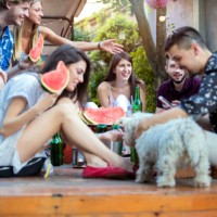 summer party with watermelon - garden decoration stock pictures, royalty-free photos & images