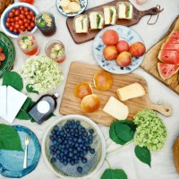 summer picnic on blanket with food and fruit - food photos et images de collection