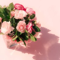 summer scene with pink rose flowers in the vases. sun and shadows. minimal nature background. - garden decoration stock pictures, royalty-free photos & images