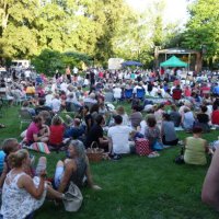 summer serenade in pastures in the upper palatinate - concert stock pictures, royalty-free photos & images
