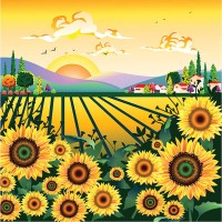 sunflower garden - garden decoration stock illustrations