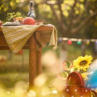 sunflower in the meadow next to a table with abundance of fruits and homemade sweets - garden decoration stock pictures, royalty-free photos & images