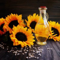 sunflowers, sunflower seeds and a bottle of oil - garden decoration stock pictures, royalty-free photos & images