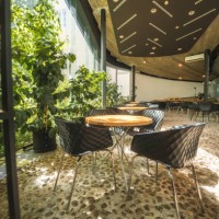 sunlit bistro terrace with large plants - garden decoration stock pictures, royalty-free photos & images
