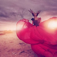 sunset energy - fashion stock pictures, royalty-free photos & images