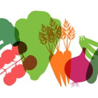 supermarket vegetables - food stock illustrations