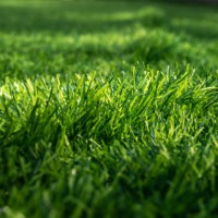 surface of green artificial turf used for covering sport arena or garden. - garden decoration stock pictures, royalty-free photos & images