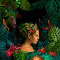 surreal jungle portrait - garden decoration stock pictures, royalty-free photos & images