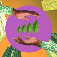 sustainable growth - fashion stock pictures, royalty-free photos & images