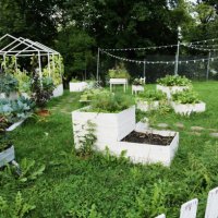 sustainable lifestyle. small farmer garden with homegrown produce and plants - garden decoration stock pictures, royalty-free photos & images