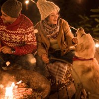 sweet holidays - garden decoration stock pictures, royalty-free photos & images