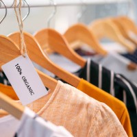 t-shirt made of 100% and hundred percent organic materials - fashion stock pictures, royalty-free photos & images