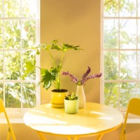 table basse et chaise dans un appartement - home decoration photos et images de collection
