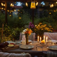 table set in greenhouse - home decoration stock pictures, royalty-free photos & images