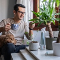 take care of plants at home - garden decoration stock pictures, royalty-free photos & images