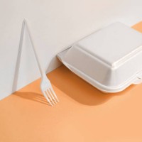 takeaway packaged food. food delivery box and fork on trendy peach color background. - junk food stock pictures, royalty-free photos & images