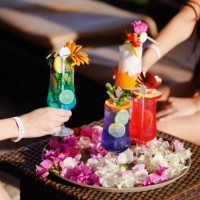 taking various cocktails from tray decorated with petals on bar table - home decoration stock pictures, royalty-free photos & images