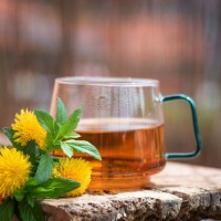 tasse de thé à la fleur de pissenlit - garden decoration photos et images de collection