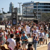 Taylor Swift fans, also known as 