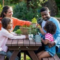 temps d’allocation familial - garden decoration photos et images de collection