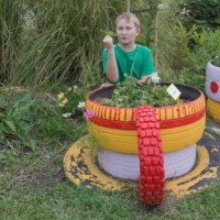 tending to flowers in recycled car tyres - garden decoration stock pictures, royalty-free photos & images