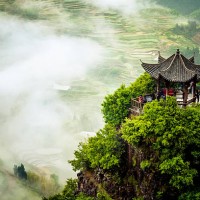 terraced fields - travel stock pictures, royalty-free photos & images
