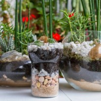 terrariums - garden decoration stock pictures, royalty-free photos & images