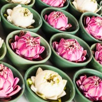 thai traditional folded white and pink lotus in small green ce - garden decoration stock pictures, royalty-free photos & images