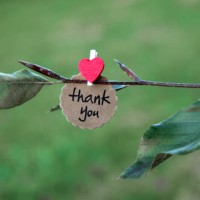 thank you with love - garden decoration stock pictures, royalty-free photos & images