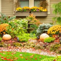 thanksgiving autumn decoration - garden decoration stock pictures, royalty-free photos & images