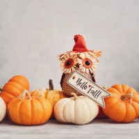 thanksgiving fall background with pumpkin collection and fabric owl and fall greeting - home decoration stock pictures, royalty-free photos & images