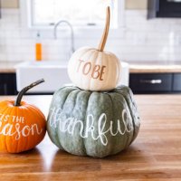 thanksgiving pumpkin display - home decoration stock pictures, royalty-free photos & images