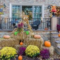 thanksgiving und halloween dekorationen mit kürbis und stroh vor einem haus in brooklyn, new york, usa. - garden decoration stock-fotos und bilder