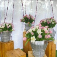 the beauty of tulips arrangement and display. - garden decoration stock pictures, royalty-free photos & images