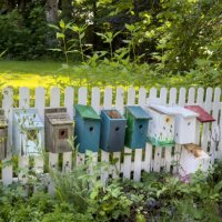 the birds can pick a new home for free - garden decoration stock pictures, royalty-free photos & images