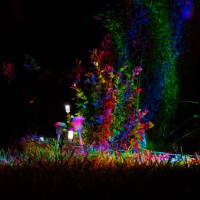 the color garden - garden decoration stock pictures, royalty-free photos & images