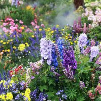 the garden is full of beautiful flowers - garden decoration stock pictures, royalty-free photos & images