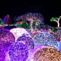 the garden of morning calm - garden decoration stock pictures, royalty-free photos & images