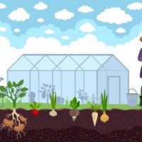 the gardener standing proudly in front of her greenhouse filled with vegetables. greenhouse for growing plants. - garden decoration stock illustrations