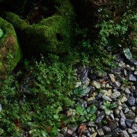 the green moss grows on the rocky pot in the old garden - garden decoration stock pictures, royalty-free photos & images